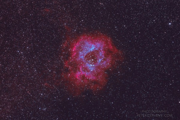 NGC 2237 - Rosette Nebula