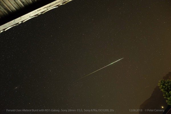 Perseid Meteor